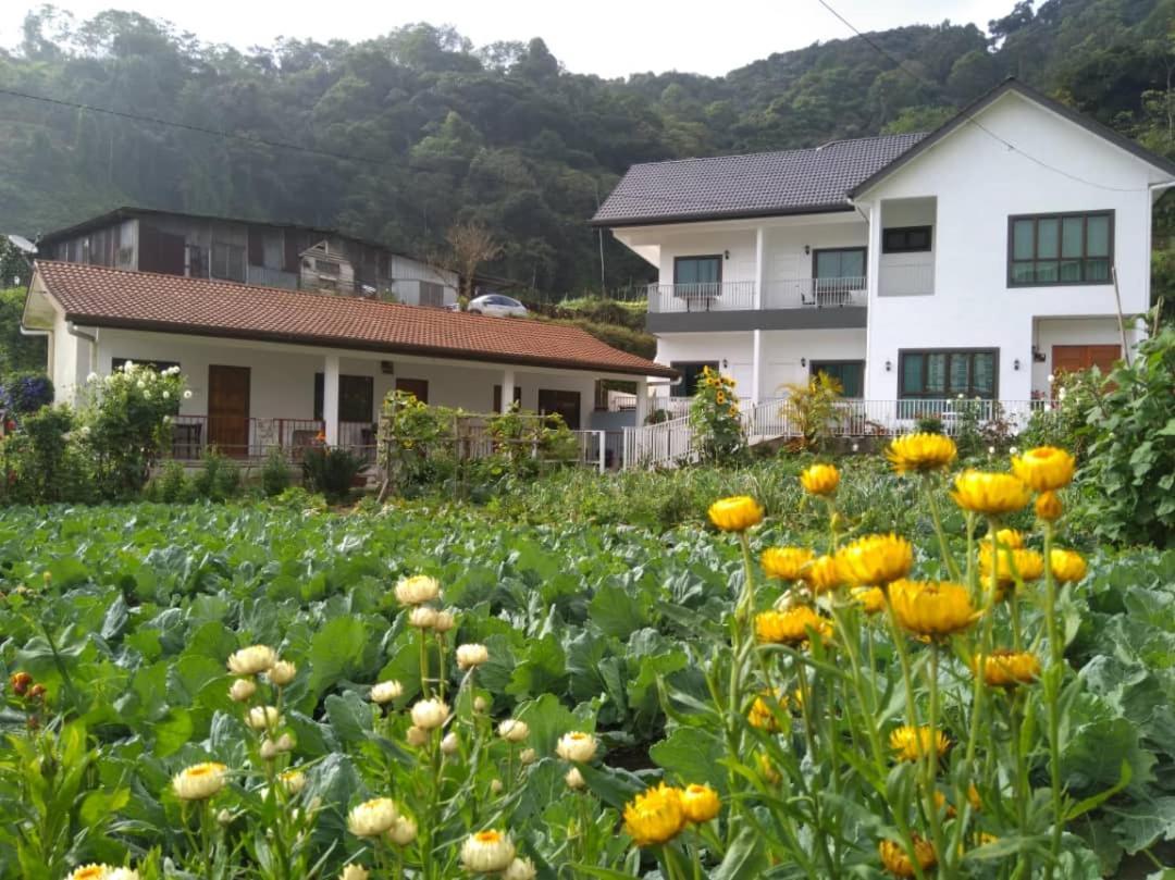 Ng Family'S Farm Stay 카메론하일랜즈 외부 사진