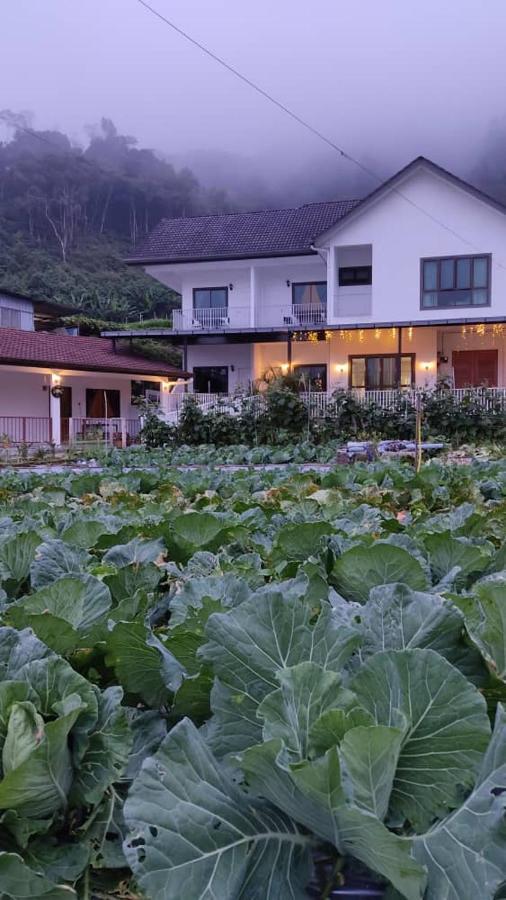 Ng Family'S Farm Stay 카메론하일랜즈 외부 사진